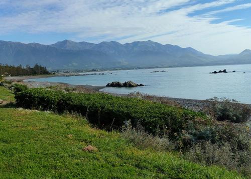 Heays Lane Cottage - Apartment - Kaikoura