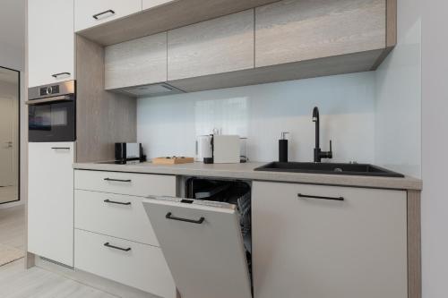 One-Bedroom Apartment image 7