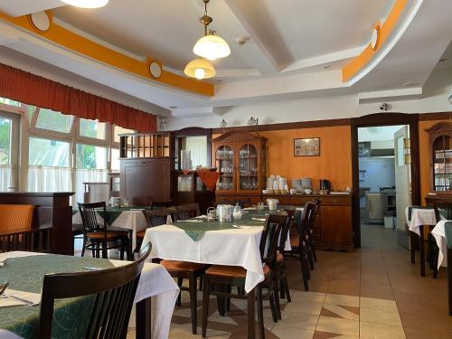 蒂薩阿爾法酒店 (Tisza Alfa Hotel) in 賽格德