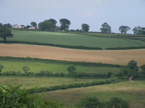 Petrock Holiday Cottages