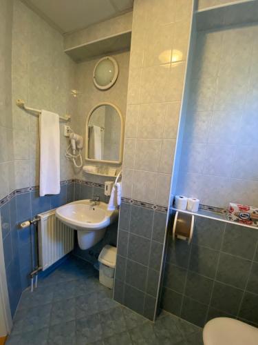 Tisza Alfa Hotel - image 3
