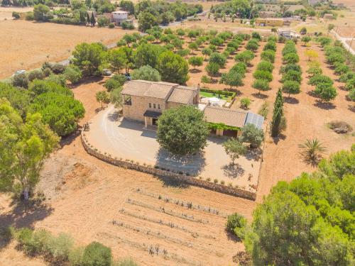 Luxury finca Ses Quaranta