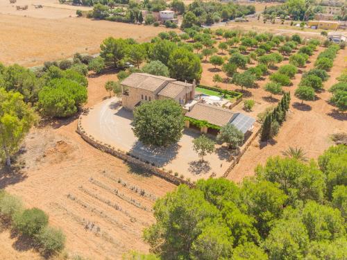 Luxury finca Ses Quaranta