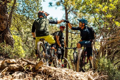 Residence Holidays - image 6