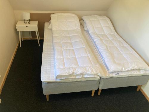 2 twin beds, 1 sofa bed