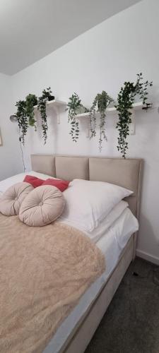 Apartament w centrum Premium Apartament w centrum Premium