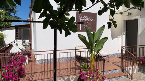 Villa Giuseppina 4