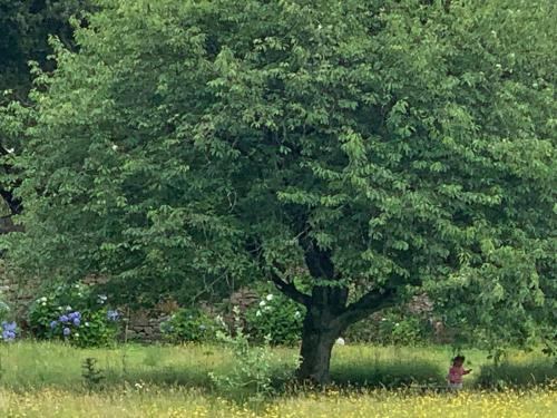  O Lagar de Jesús in Padrón