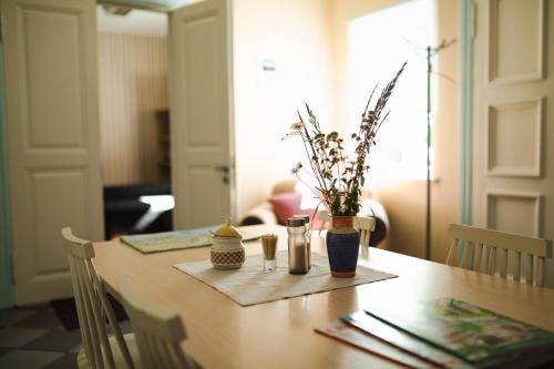 Food and beverages, Nova Hostel in Kivi