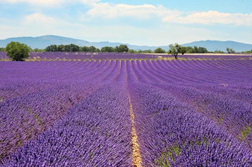 Bienvenue au Dormidou en Provence ! - Tap to explore photos