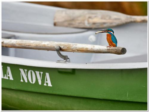 Jõesuu Home Accommodation Jõesuu Home Accommodation