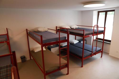 Bed in dormatory room