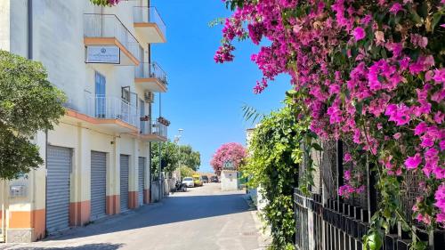 Orlamare, Agropoli