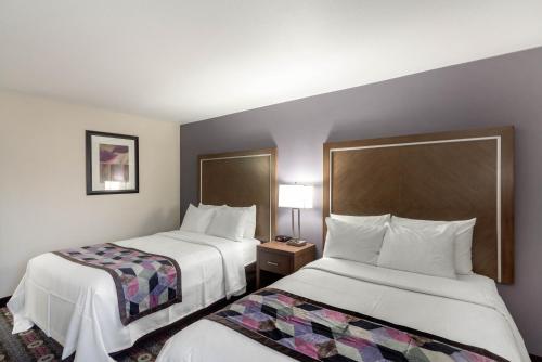 市中心康福特茵酒店 市中心康福特茵酒店