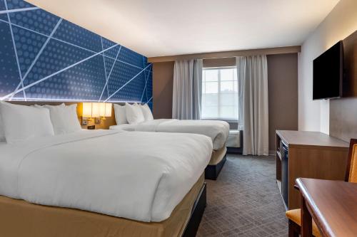 Comfort Inn & Suites East Greenbush - Albany - image 36
