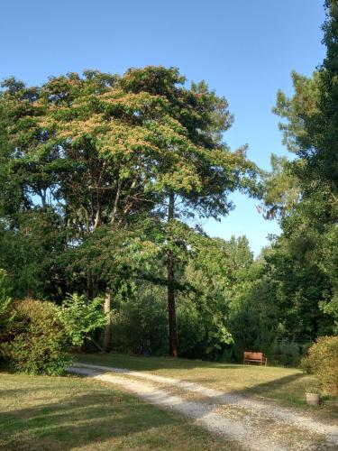 le jardin de myrtille