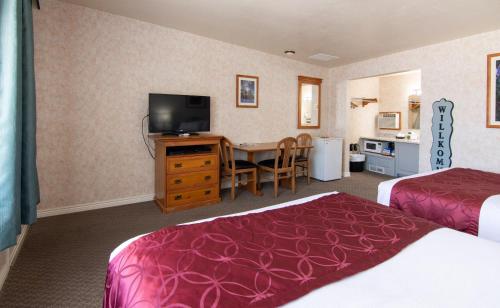 Swiss Alps Inn - image 8