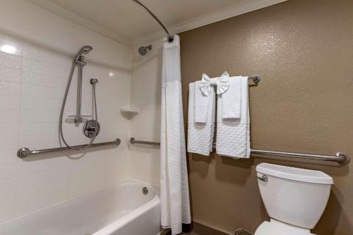 Best Western Silicon Valley Inn - image 9