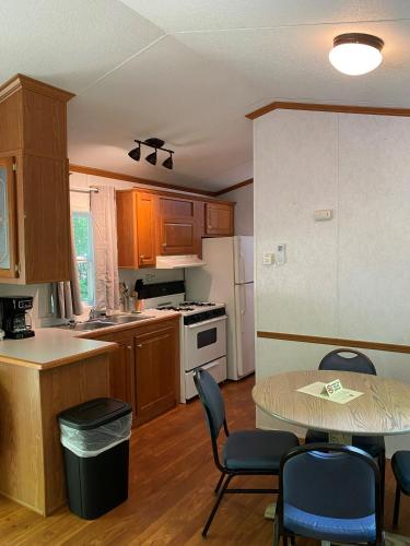 廚房, The Vintage RV's at Wilderness Presidential Camp Resort by TripForth in 弗雷德里克斯堡市中心