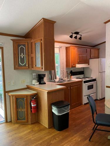 廚房, The Vintage RV's at Wilderness Presidential Camp Resort by TripForth in 弗雷德里克斯堡市中心