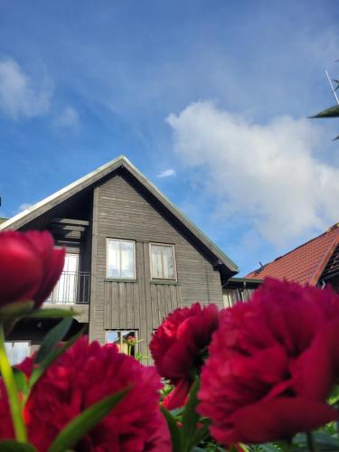 Viesu maja Zvilnis in Pavilosta