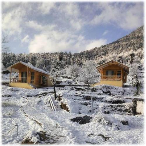 The goat village Dayara bugyal by LivingStone photo
