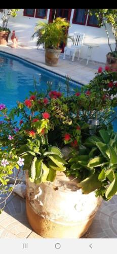 PALMITA Hotel Hostel Apartments