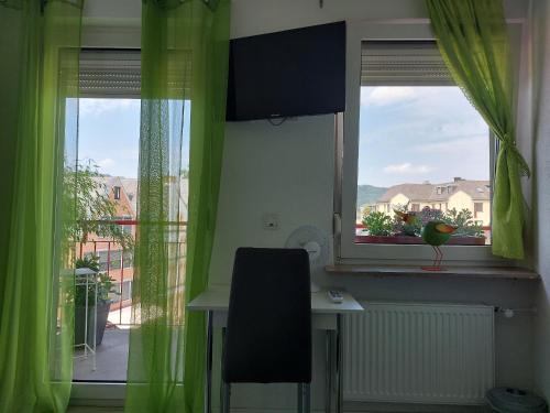 Ricks City Hotel - image 10