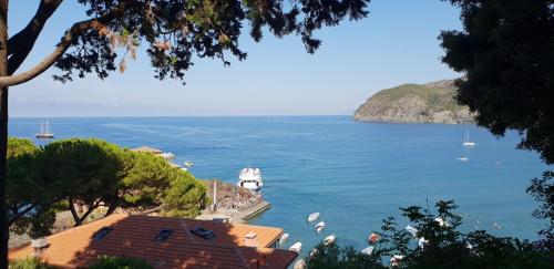 ALBA, Levanto (photo 2)