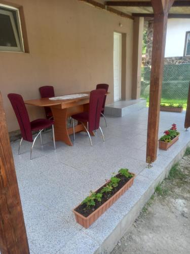 Casa Sandu in 比斯特里察