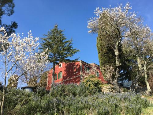 Piccola casa toscana con giardino con vista mozzafiato - Location saisonnière - Podere Cordicella