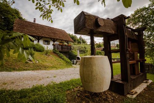 Vineyard Cottage Skatlar 2 - Accommodation - Srednje Grčevje