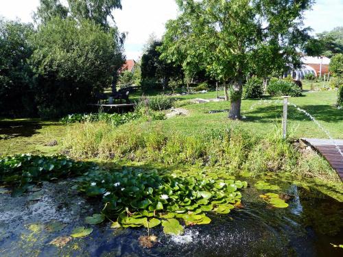 "Balmgarten" im Naturpark Usedom, Bio Solarhaus mit großem Garten