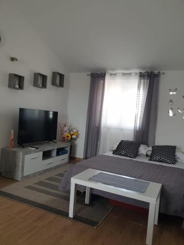 Slamo Apartments - image 4