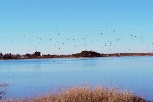 Albergue Los Patos