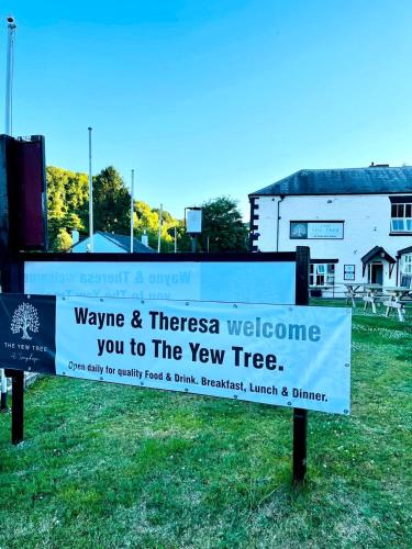 The Yew tree at Longhope