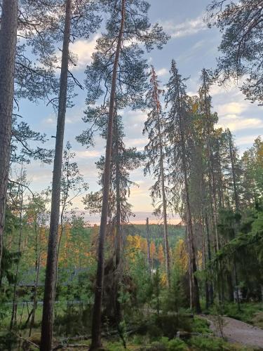 Surrounding environment, Haltia Lake Lodge in Espoo
