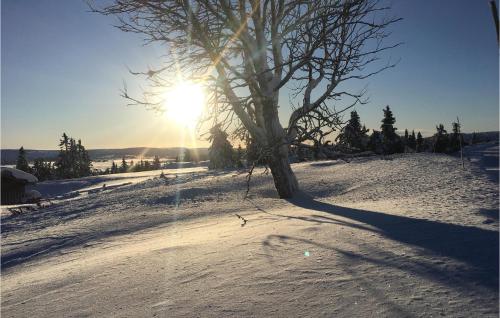 Beach, Fjellheimen Nr 104 in Sjusjoen