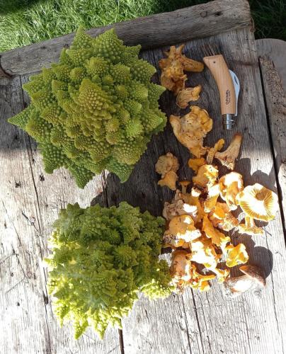 Bourg Saint Maurice Les Arcs - maisonnette grand confort dans charmant village de montagne ! in Le Berard