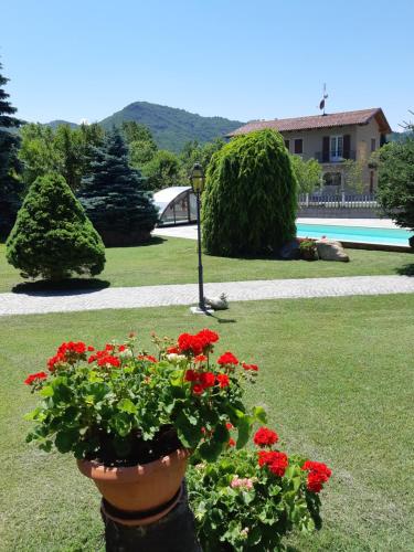 . L'Isola Dla Cerrea