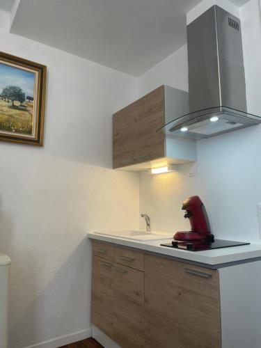 Maison du Cloitre Couvent des Carmes in Narbonne