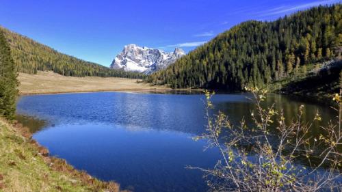 Appartamento Vanoi nel cuore verde del Trentino - Apartment - Canale San Bovo