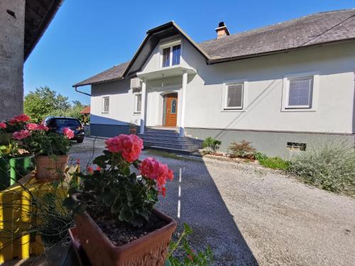Charming village house with patio and garden in Словенське Коньїце