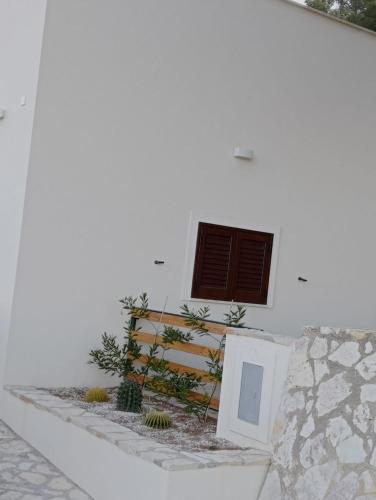  Erix Bellavista in Milo