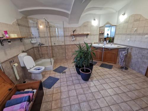 Charming village house with patio and garden in Словенське Коньїце