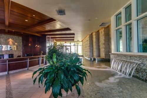 Aqua Resort 1007 by RealJoy Vacations - image 14