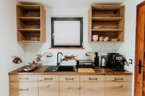 Konyha, Skava Apartments Zator Energylandia in Radocza