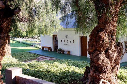 Étterem, Swartberg Country Manor in Matjiesrivier