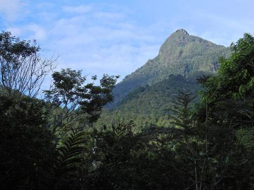 Cucú Ardilla Vivienda campestre en Pance ideal para familias o grupos