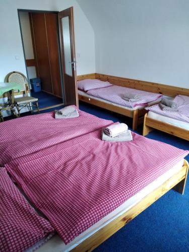 Penzion Iris Krkonoše Penzion Iris Krkonoše